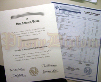 College Fake Diploma and Transcript All Included Package